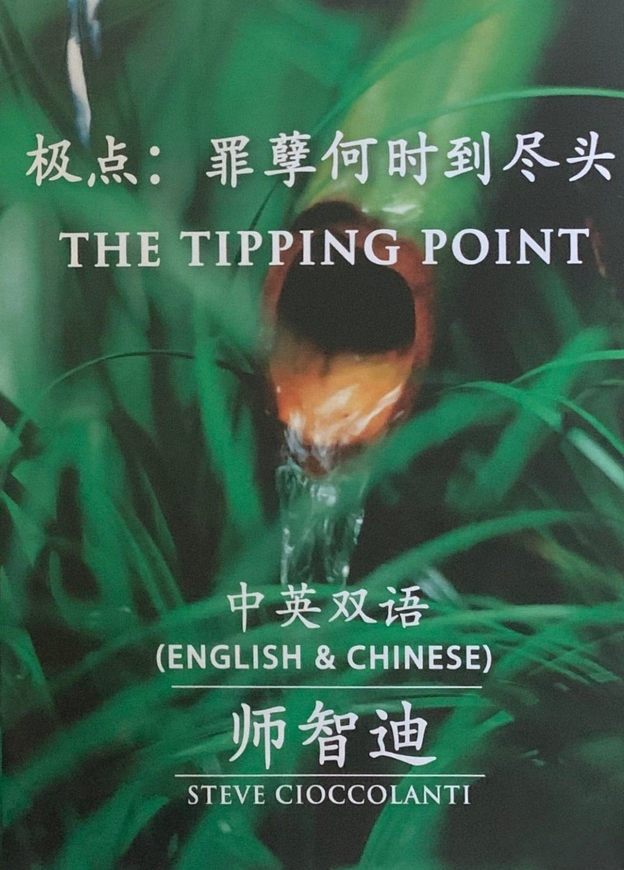 极点：罪孽何时到尽头 The Tipping Point (Chinese)